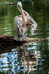 独立游戏盛会《东京SANDBOX 2024》确定6月22日举行